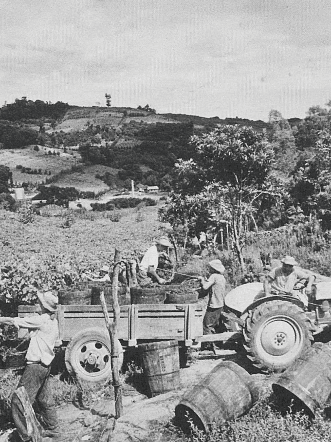 a terra prometida